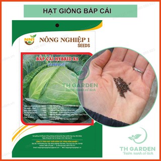 2gr Hạt Giống Bắp Cải - Cải Bắp Xanh - Bắp Tròn, Cuốn Chắc