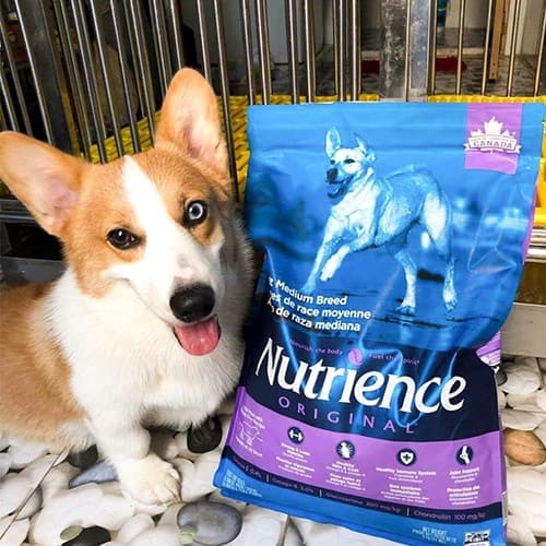 [DINH DƯỠNG CAO] 5KG Nutrience Original Thức Ăn Cho Chó Giống Chó Trung Bình, Lớn - Thịt Cừu, Rau Củ, Trái Cây Tự Nhiên