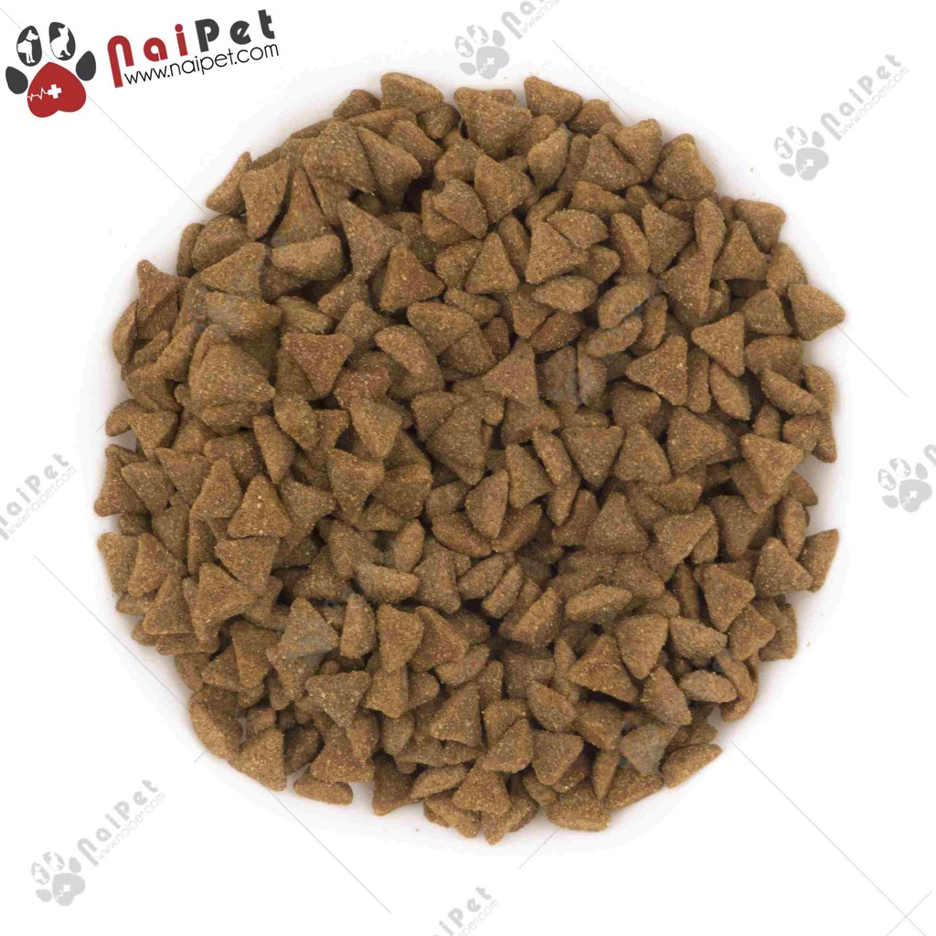 Thức Ăn Hạt Cho Chó Trưởng Thành Cỡ Lớn Petcool Daily Fresh Hộp 500g
