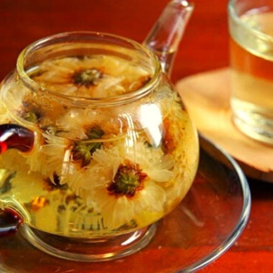 BẠCH CÚC-  trà hoa thảo mộc Đà Nẵng - Ato trà - TRÀ HOA CÚC TRẮNG GIÚP NGỦ NGON - AN THẦN