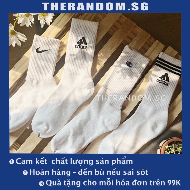 🌟 Vớ/ Tất Nam Nữ hàng VNXK cực đẹp