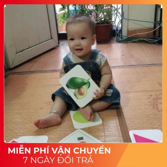 Bộ Thẻ học Thông Minh Chuẩn Glenn Doman 19 Chủ Đề TGXQ loại TO song ngữ A-V dạy bé nhận biết thế giới xung quanh