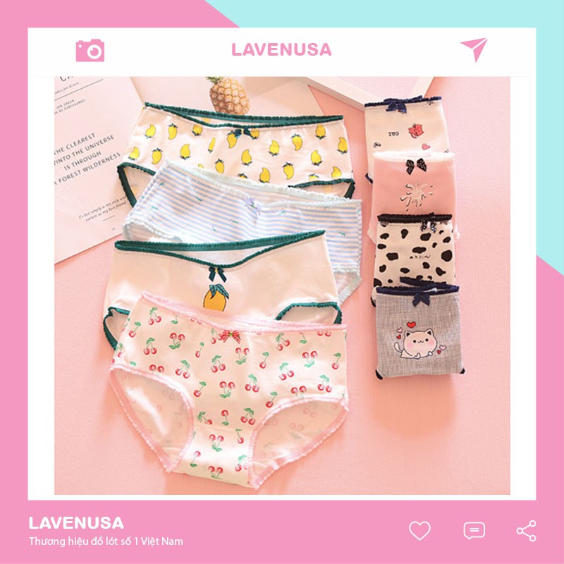 Quần lót nữ dễ thương cotton rẻ đẹp kháng khuẩn phong cách trẻ trung QL29
