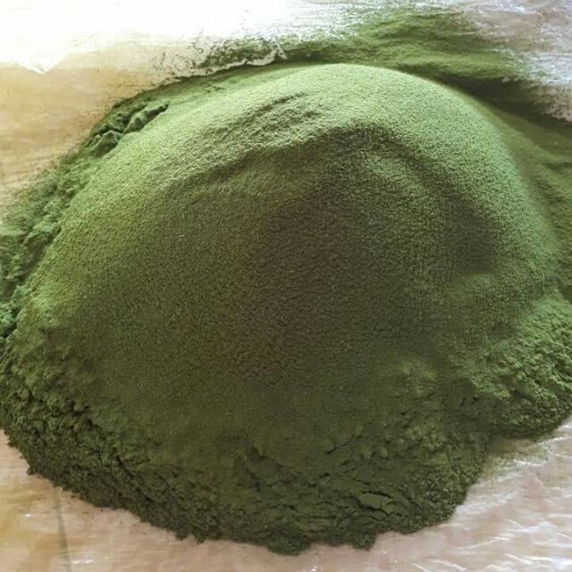 Bột trà xanh hanmade Thái Nguyên