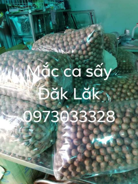 1KG MẮC CA ĐĂK LĂK SẤY CHÍN