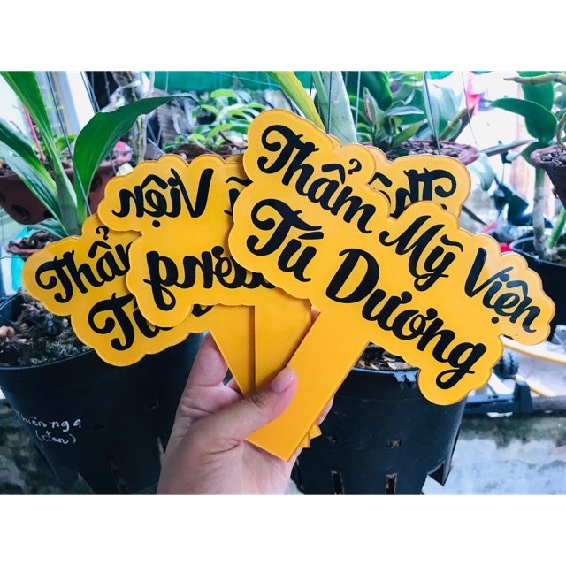 BẢNG HIỆU CHỤP SP SỈ 60K