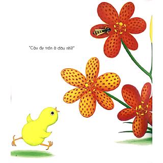 Bạn Chim Cút Chơi Trốn Tìm