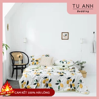 Chăn hè Tencel mát lạnh, mềm mịn cao cấp nhập khẩu