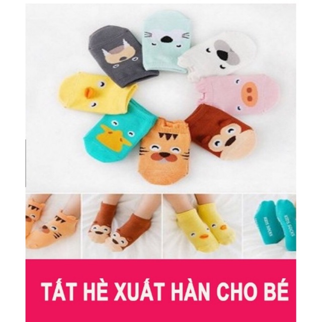 Combo 10 dôi Tất kid's Hàn chống trượt