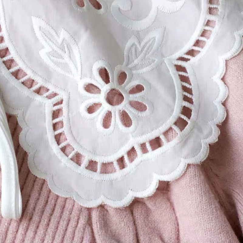 Cổ áo sơ mi giả thêu hoa rỗng phong cách Pháp trang trí cho nữ
 | BigBuy360 - bigbuy360.vn