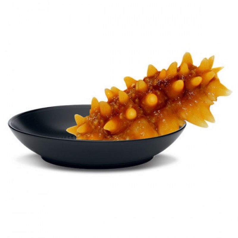 Hải Sâm gai  - Giá sỉ rẻ nhất