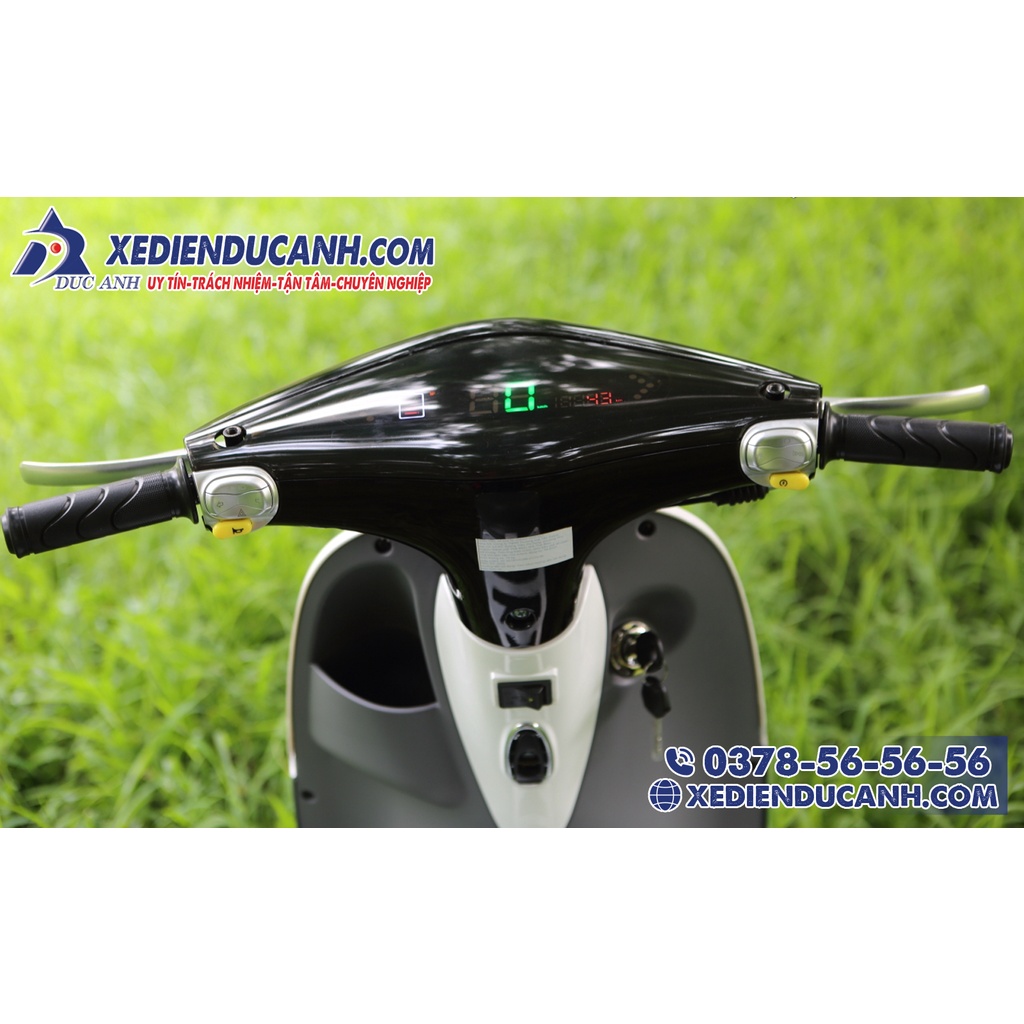 Xe ga 50cc Dibao Gofast - 2022