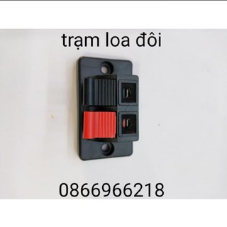Trạm loa đôi giá 1 chiếc.