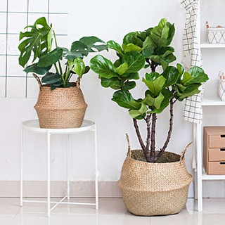 Giỏ đan mây đựng quần áo / đồ dùng đa dụng