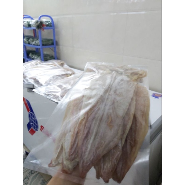 Mực Câu (Size 5,6 con/Kg)/1kg  - 1,5 lạng (1 con cỡ đại)