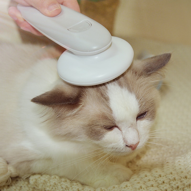 Lược Chải Lông Mát Xa Cho Thú Cưng Bằng Thép Không Gỉ