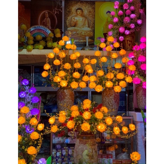 Bộ chuyển đổi điện 5V:2000mA