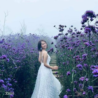 ĐẦM MAXI LÔNG CỔ YẾM (KÈM VIDEO HÌNH THẬT)