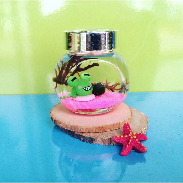 Set Marimo ếch cát hồng ( được chọn màu cát )
