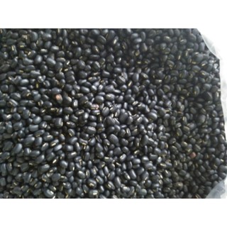 [FREESHIP 99K TOÀN QUỐC]Đỗ đen quê chính hiệu gói 1 kg