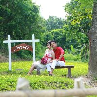 GIA DỤNG ĐÀO HÒA 1