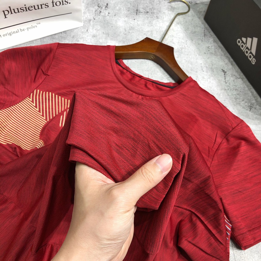 Áo thun thể thao tập gym áo phông nam ngắn tay bigsize cao cấp xuất khẩu APTT 110 - 2020