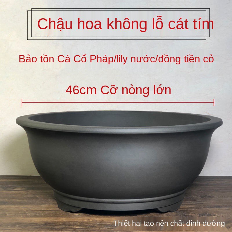 XChậu thủy tiên, lọ hoa cát tường tím canh không xốp, đồng tiền, bát cỏ, đài sen, non bộ, tắm rùa viền vàng