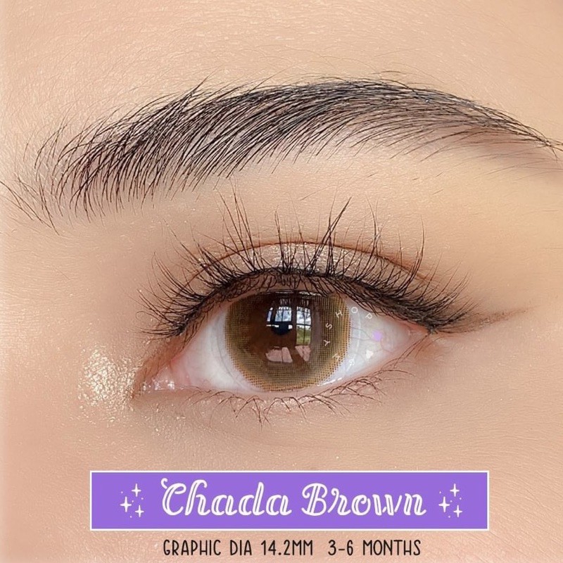 Kính Áp Tròng CHADA GRAY - BROWN ( contact lens )