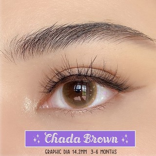 Kính áp tròng chada gray - brown