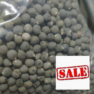 Hạt giống đậu bắp tim 40 hạt sale