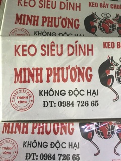 Keo bẫy chuột siêu dính