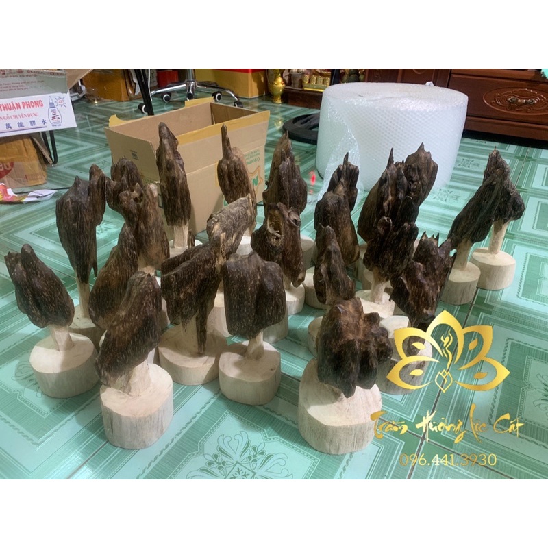 Cam kết sản phẩm - cảnh trầm hương tốc việt thiên nhiên mùi dịu nhẹ mang phong thuỷ bình an chiêu tài hút lộc