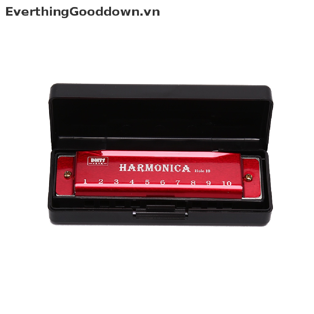 Everthinggooddown Kèn Harmonica 10 Lỗ Cho Người Mới Bắt Đầu