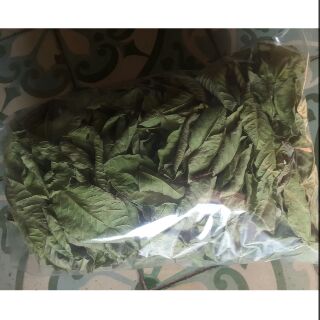 200g trà lá ổi loại ngon