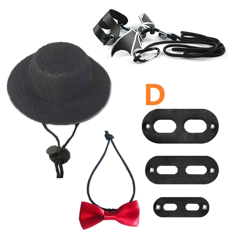 Mũ/ Nơ/ Dây xích trang trí cho bò sát thú cưng