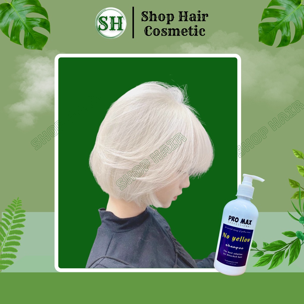 Dầu gội tím Promax, dầu gội khử vàng và giữ màu dành cho tóc tẩy nhuộm màu thời trang | Bill Hair, Billhair