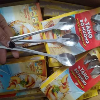 Combo 10 thìa Inox cán dài ( thìa lipton)