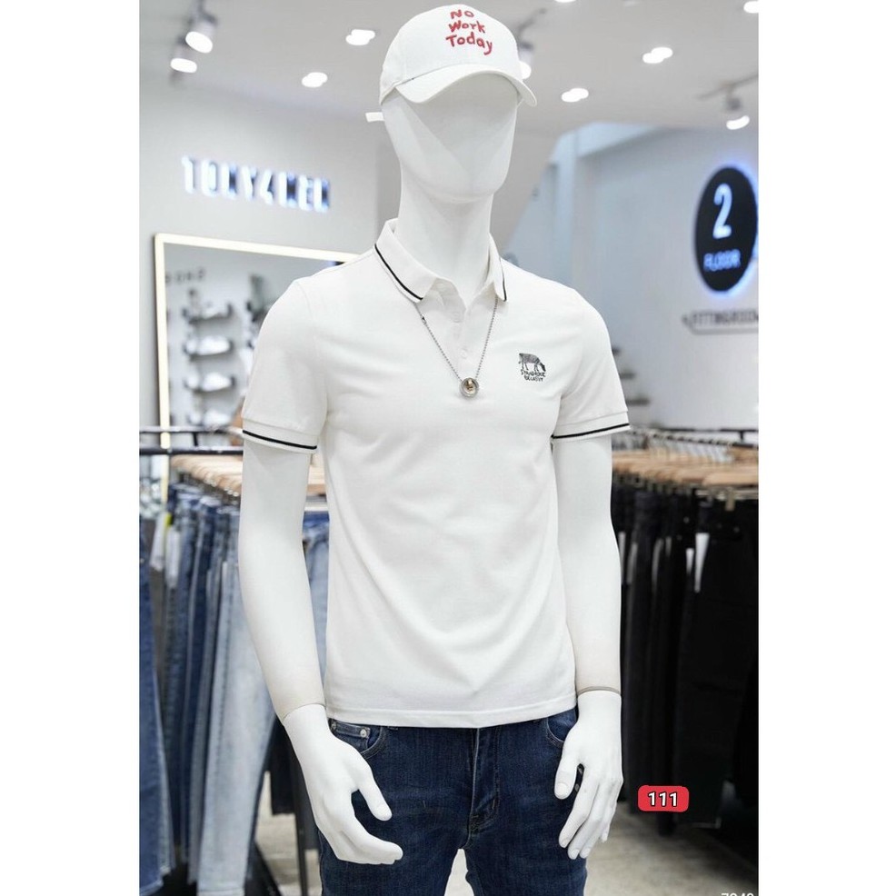 Áo thun nam cao cấp murad_fashion, áo phông nam màu trắng thêu hình thêu chữ đẹp 2021 atn111 | BigBuy360 - bigbuy360.vn