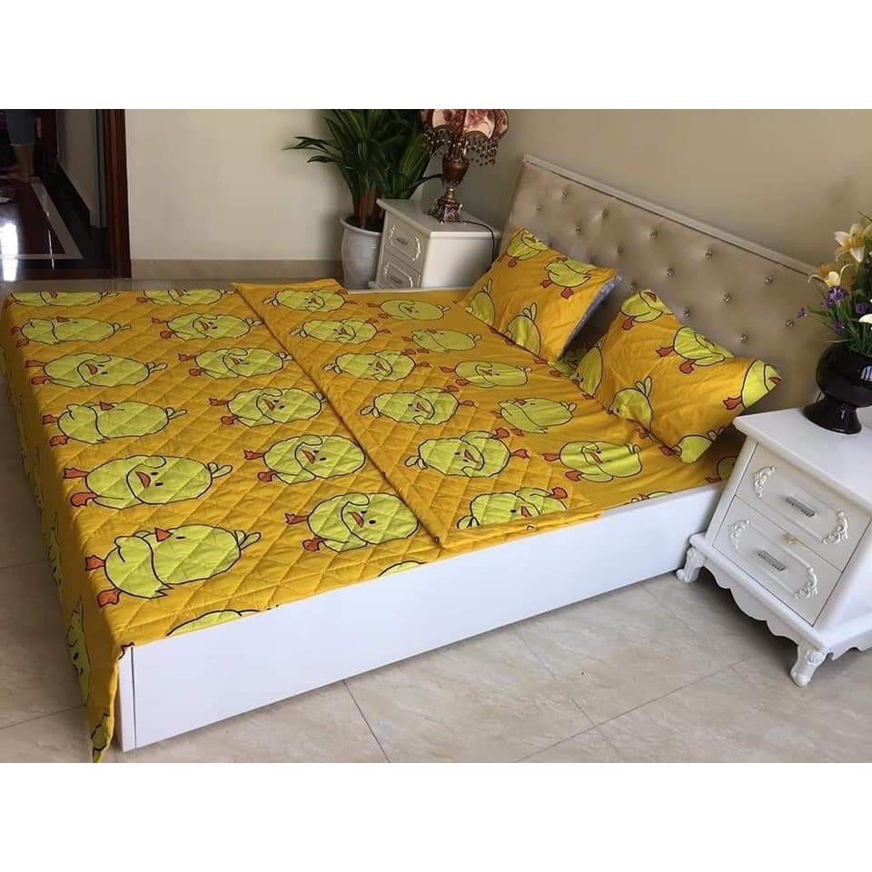[GIÁ HỦY DIỆT] BỘ 3 MÓN 1 GA 2 VỎ GỐI COTTON SIÊU MỀM MỊN 1M6X2M
