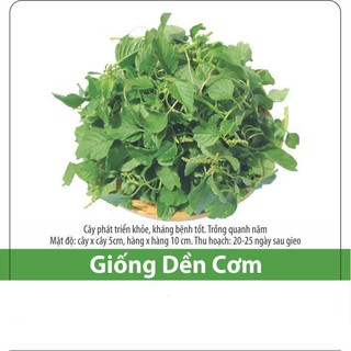 Hạt giống rau dền cơm 10gr