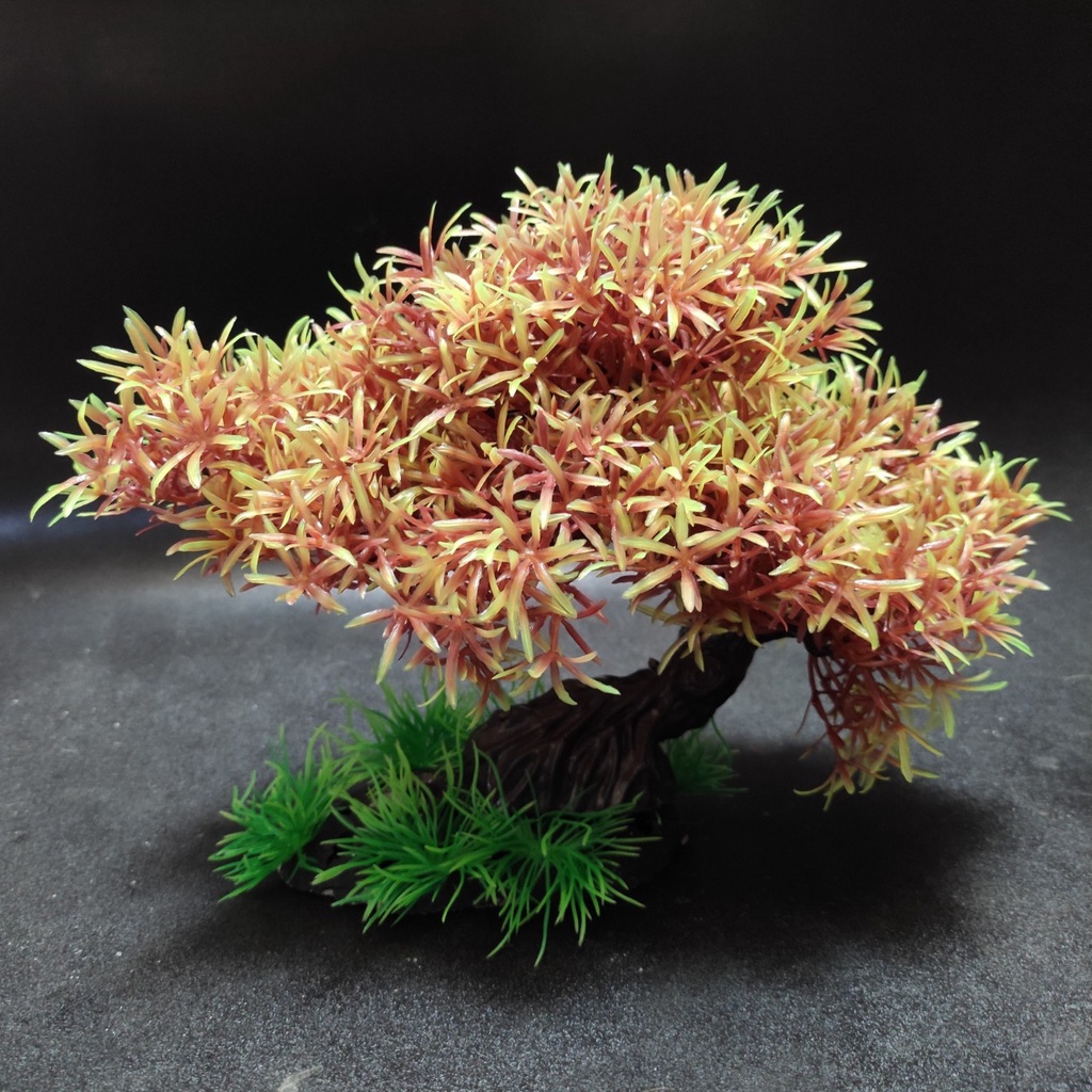 Cây cảnh nhựa trang trí bể cá - cây 1 tán bonsai