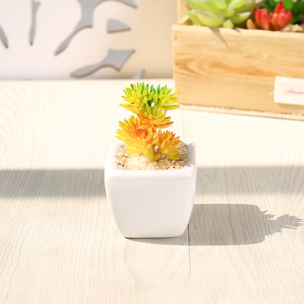 Chậu Cây Bonsai Giả Để Bàn Trang Trí Văn Phòng / Ban Công