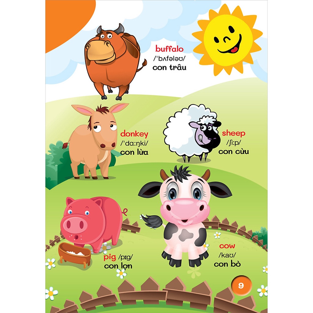 Sách- Từ điển bằng hình đầu tiên của bé