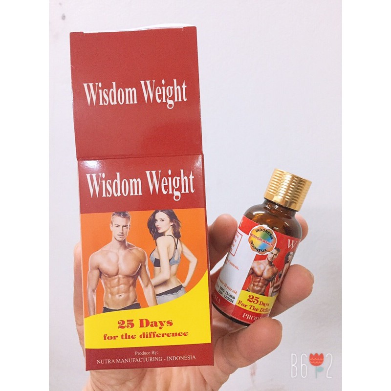 Viên uống hỗ trợ tăng cân Wisdom indo 25v