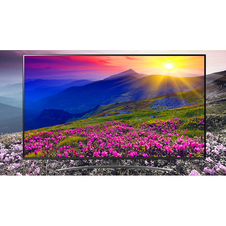 Smart Tivi NanoCell LG 4K 49 inch 49NAN081TNA