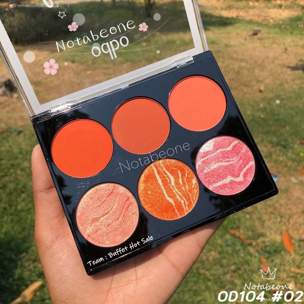 Phấn má 6 ô odbo color harmony blusher