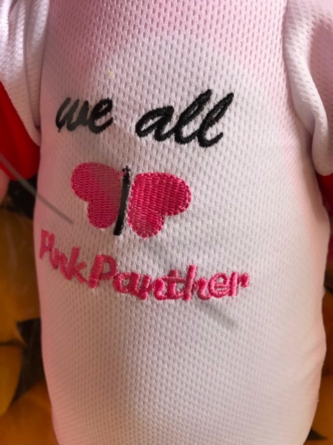 Chú Báo Hồng Mặc Áo 1Mét,Lông Nhung Mềm Mịn, Cao Cấp,Hàng Có Sẵn | BigBuy360 - bigbuy360.vn