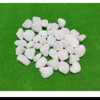 3kg sỏi trắng trang trí chậu cây cảnh  giá tốt