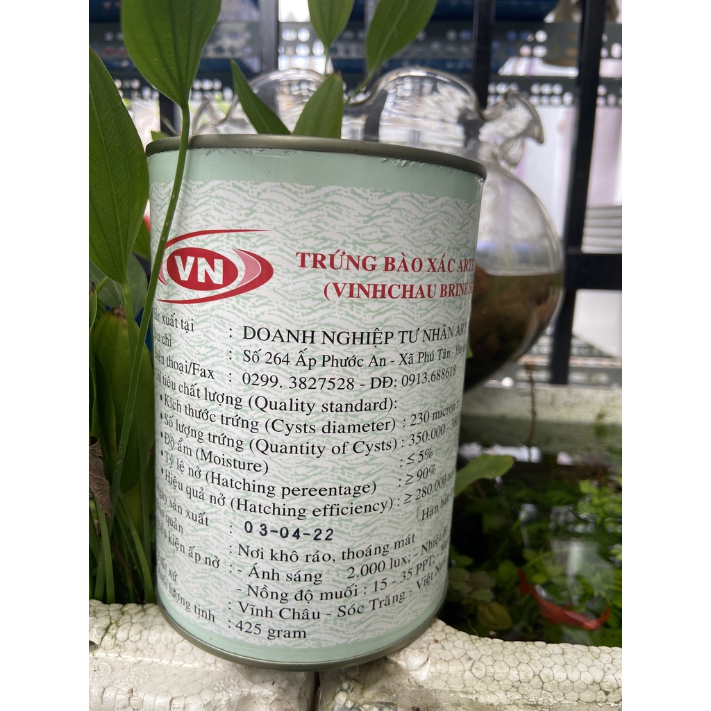 Artermia Vĩnh Châu Việt Nam