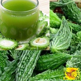 Hạt Giông Mướp Đắng 5 Hạt